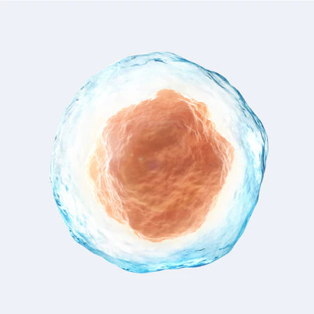 Cellular Energy