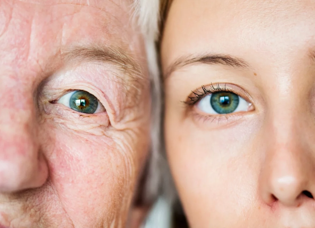 The Biological Processes of Aging
